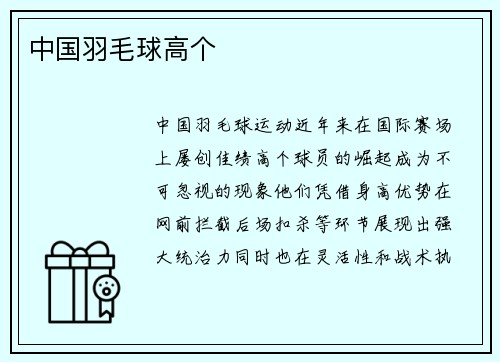 中国羽毛球高个